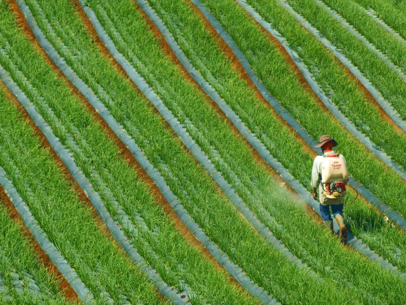 Your Organic Vegetables Were Probably Sprayed With Pesticides — Just Different Ones