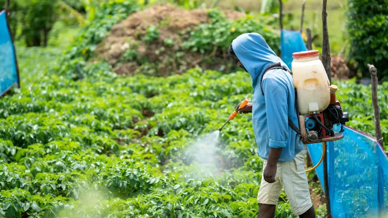 The 'Chemical-Free' Label That's Technically Impossible — Even on Your Organic Kale
