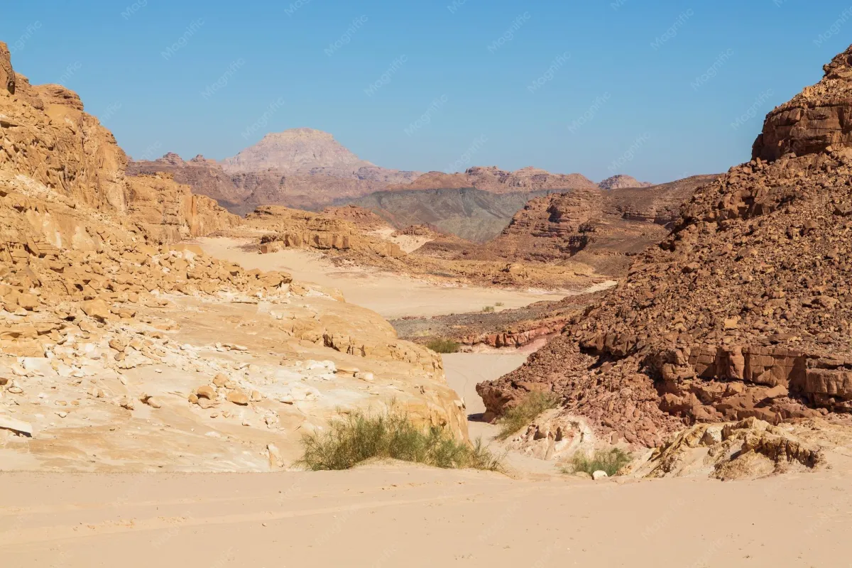 Egyptian desert